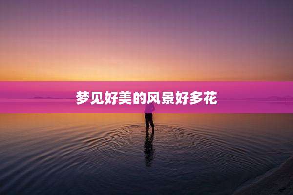 梦见好美的风景好多花