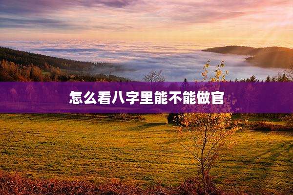 怎么看八字里能不能做官
