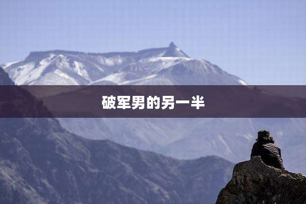 破军男的另一半