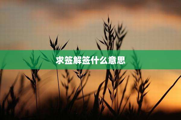 求签解签什么意思
