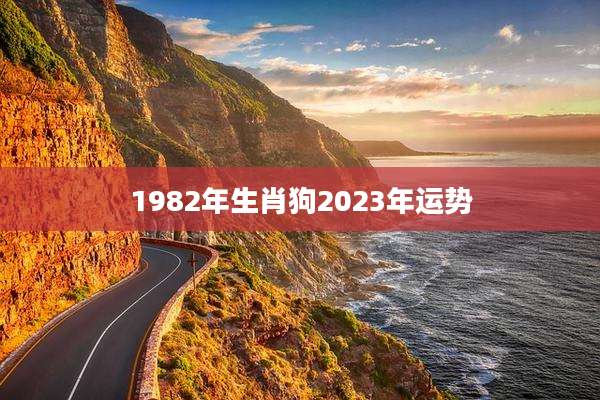1982年生肖狗2023年运势