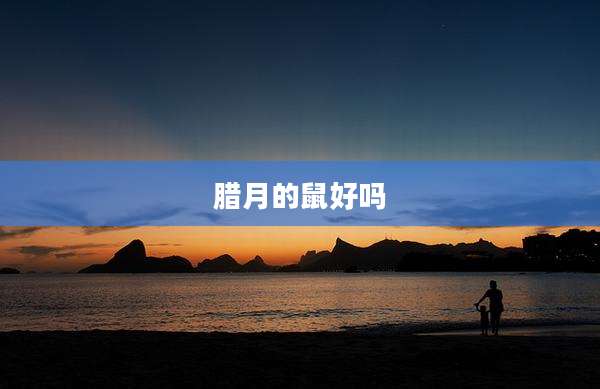 腊月的鼠好吗