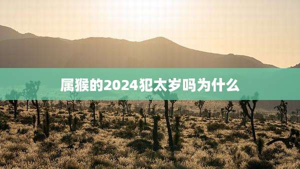 属猴的2024犯太岁吗为什么