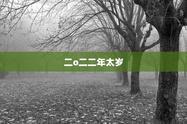 二o二二年太岁