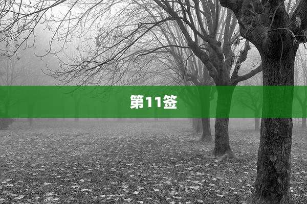 第11签