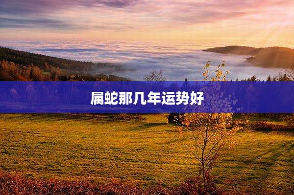 属蛇那几年运势好