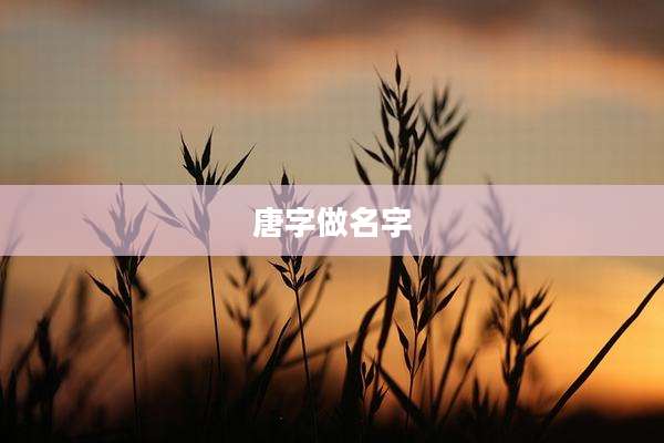 唐字做名字