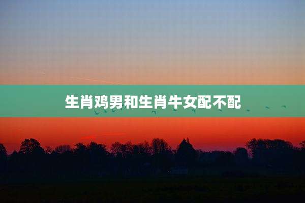 生肖鸡男和生肖牛女配不配