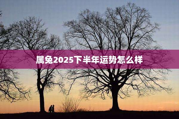 属兔2025下半年运势怎么样