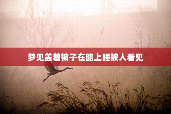 梦见盖着被子在路上睡被人看见