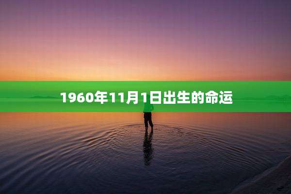 1960年11月1日出生的命运