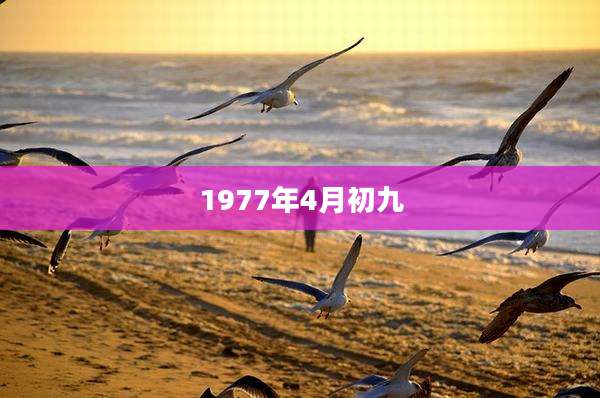 1977年4月初九