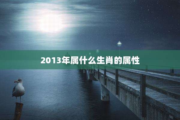 2013年属什么生肖的属性