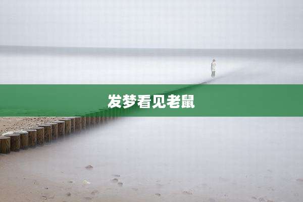 发梦看见老鼠