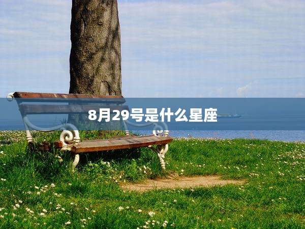 8月29号是什么星座