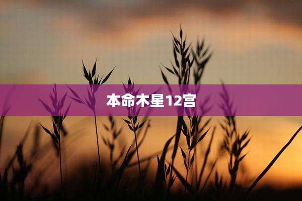 本命木星12宫