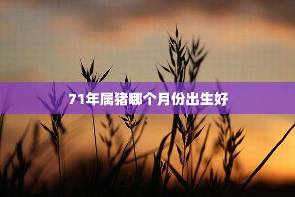 71年属猪哪个月份出生好