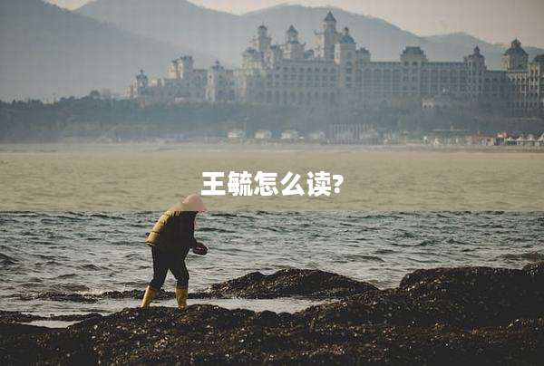 王毓怎么读?