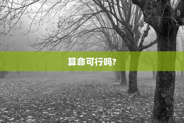 算命可行吗?