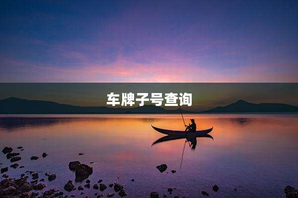 车牌子号查询