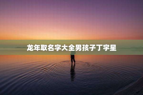 龙年取名字大全男孩子丁宇星