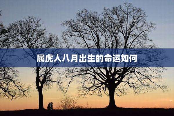 属虎人八月出生的命运如何