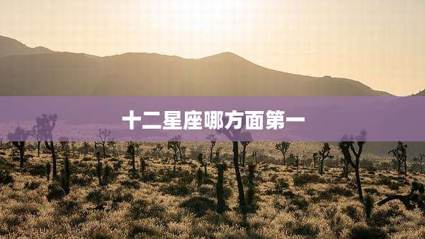 十二星座哪方面第一