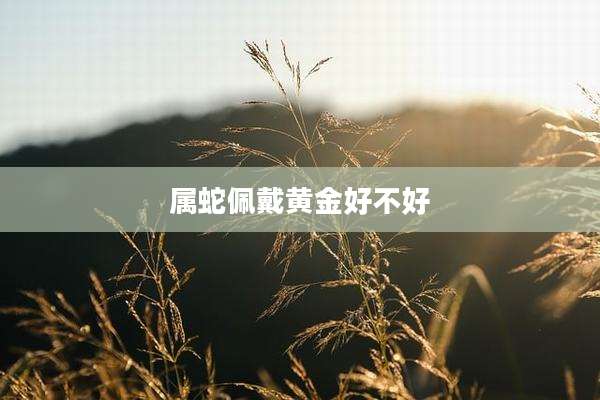 属蛇佩戴黄金好不好