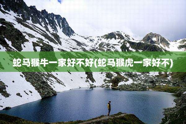 蛇马猴牛一家好不好(蛇马猴虎一家好不)