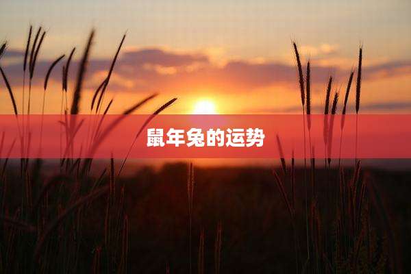 鼠年兔的运势