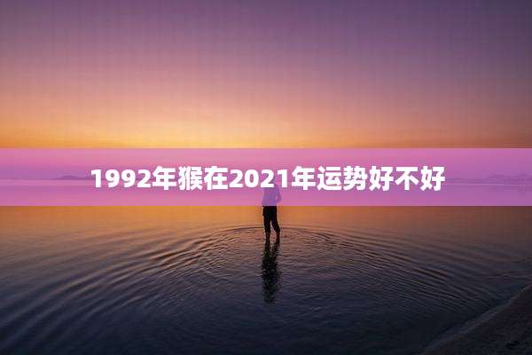 1992年猴在2021年运势好不好
