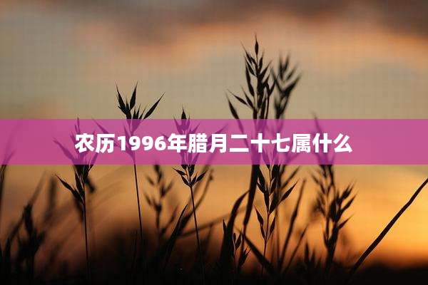 农历1996年腊月二十七属什么