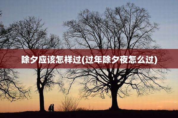 除夕应该怎样过(过年除夕夜怎么过)