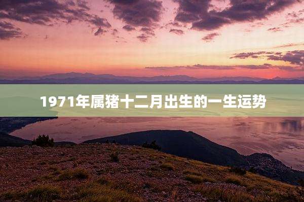 1971年属猪十二月出生的一生运势