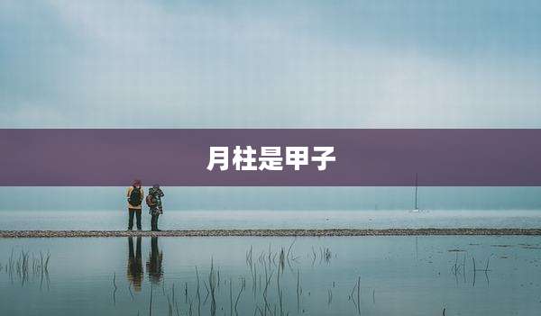 月柱是甲子