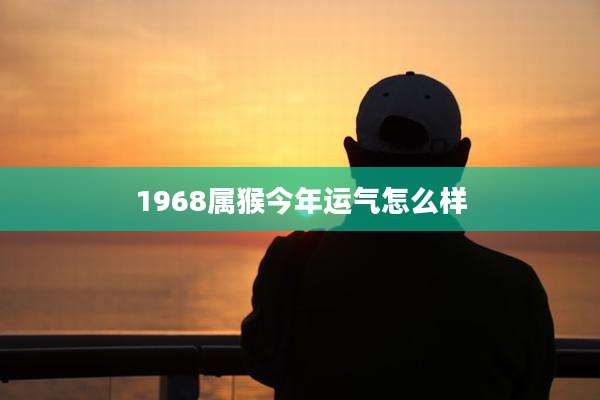 1968属猴今年运气怎么样