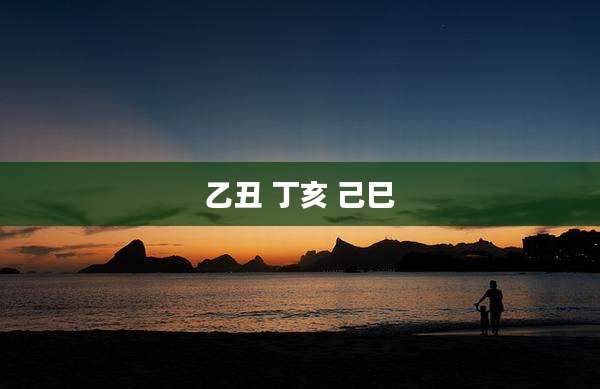 乙丑 丁亥 己巳