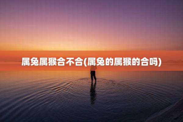 属兔属猴合不合(属兔的属猴的合吗)