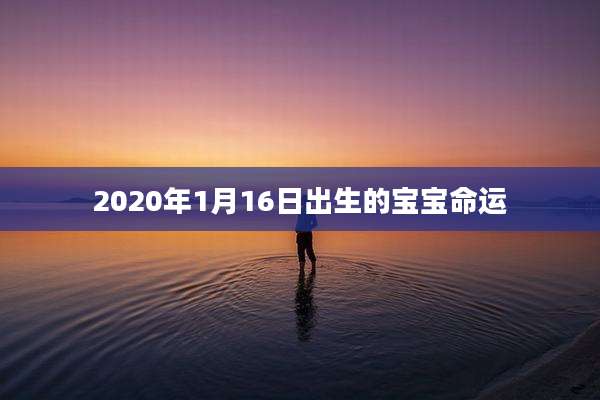 2020年1月16日出生的宝宝命运