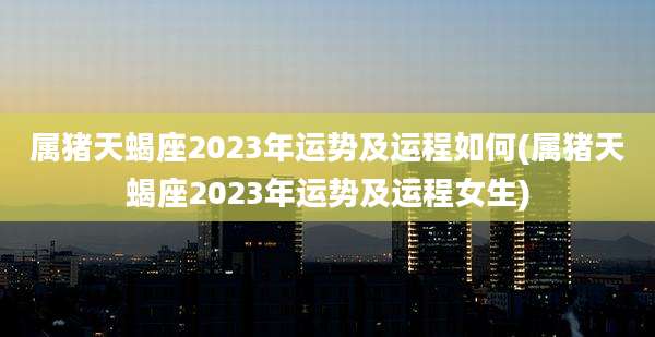 属猪天蝎座2023年运势及运程如何(属猪天蝎座2023年运势及运程女生)