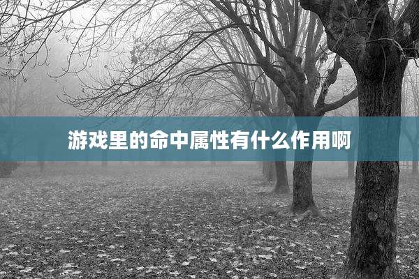 游戏里的命中属性有什么作用啊