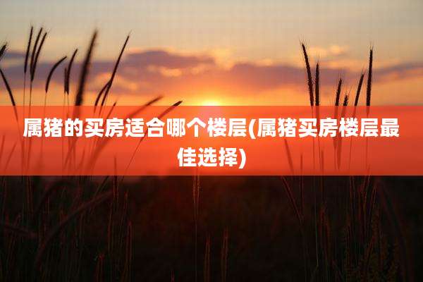 属猪的买房适合哪个楼层(属猪买房楼层最佳选择)