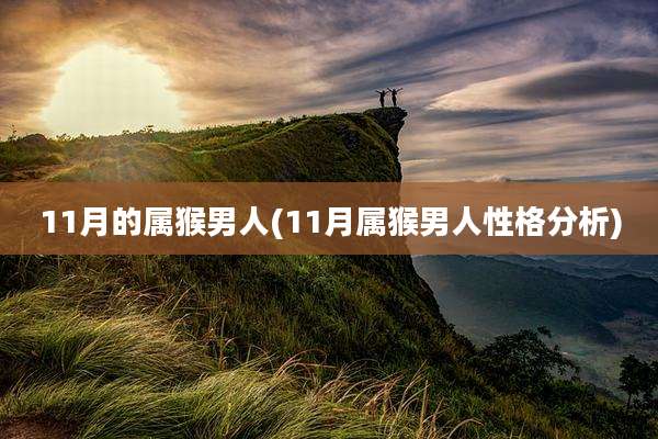 11月的属猴男人(11月属猴男人性格分析)