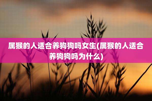 属猴的人适合养狗狗吗女生(属猴的人适合养狗狗吗为什么)