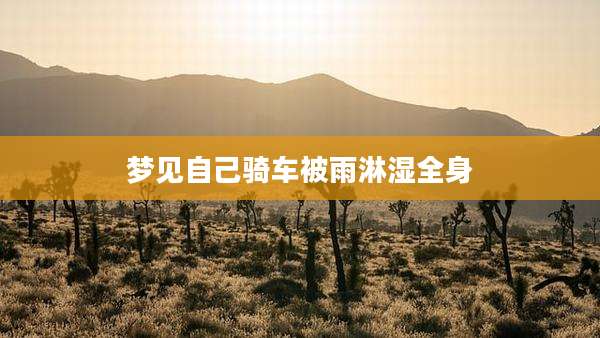 梦见自己骑车被雨淋湿全身