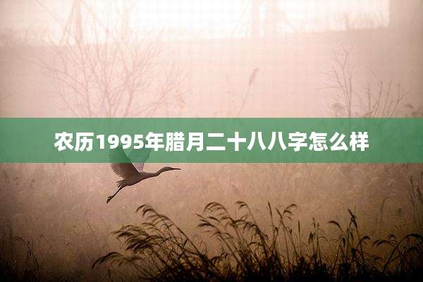 农历1995年腊月二十八八字怎么样