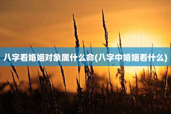八字看婚姻对象属什么命(八字中婚姻看什么)