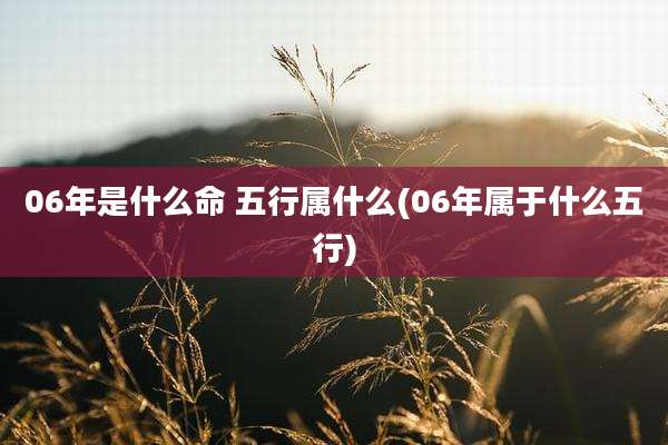 06年是什么命 五行属什么(06年属于什么五行)