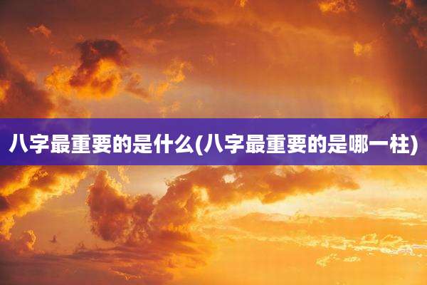 八字最重要的是什么(八字最重要的是哪一柱)