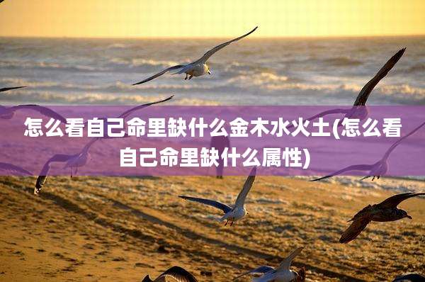 怎么看自己命里缺什么金木水火土(怎么看自己命里缺什么属性)